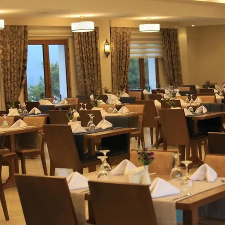호텔 Harlek Thermal Hotel