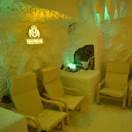 호텔 Harlek Thermal Hotel 아브단