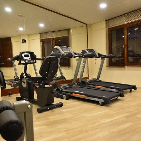Harlek Thermal Hotel 아브단