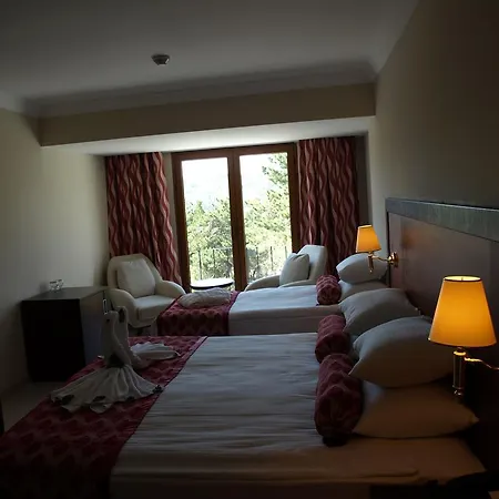 호텔 Harlek Thermal Hotel